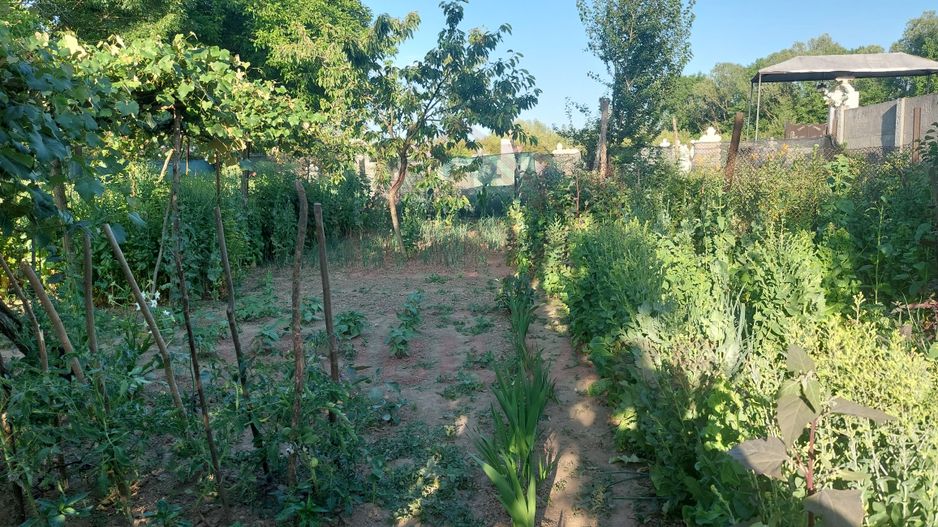 CASĂ 5 CAMERE\ OȚELU-ROȘU\ZONA CIREȘA \ COMISION 0% - Poză 21