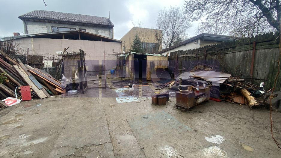 TEREN 800MP | STRAULESTI - Poză 2