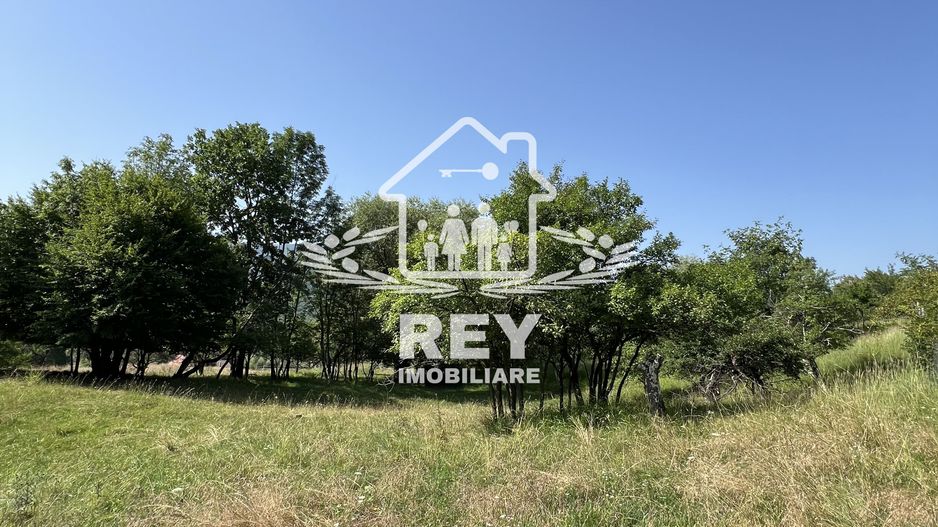 Teren de vânzare Cisnădioara - Poză 8