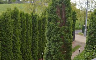 Casă/Vilă Hagigadar Suceava - Poză 50