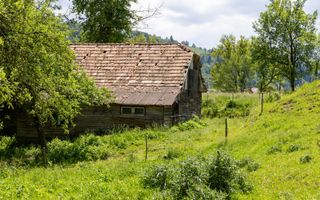 Moieciu de Jos |Teren 11.381 mp | Panoramă, potențial turistic - Poză 7