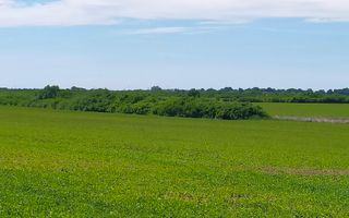 TEREN IDEAL PENTRU INVESTITII GIARMATA-PISCHIA - Poză 2