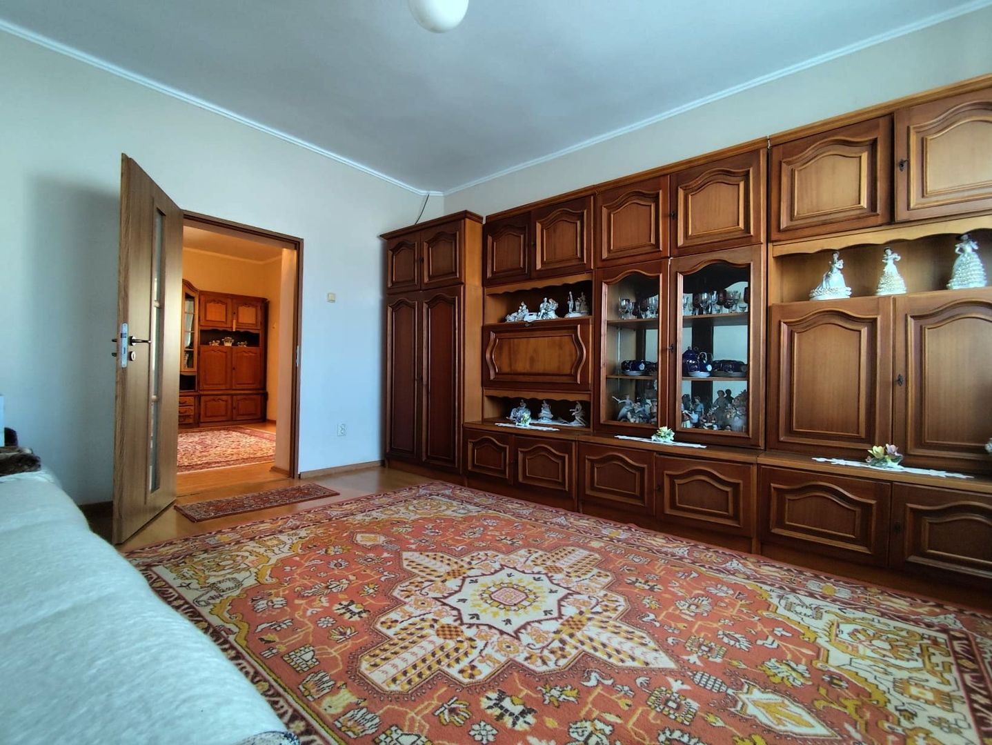 Casa la tara - teren 2826 mp, acces auto, in Sacadat, Bihor - Poză 9