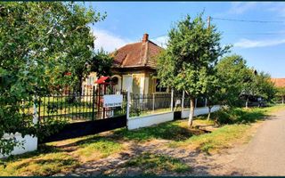 Vand casa superba Sacaseni (langa Tasnad bai termale) - Poză 3