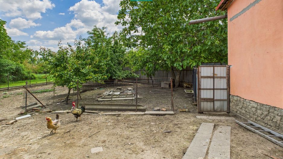 Casă cu 3 camere și teren generos lângă frontieră - Poză 13