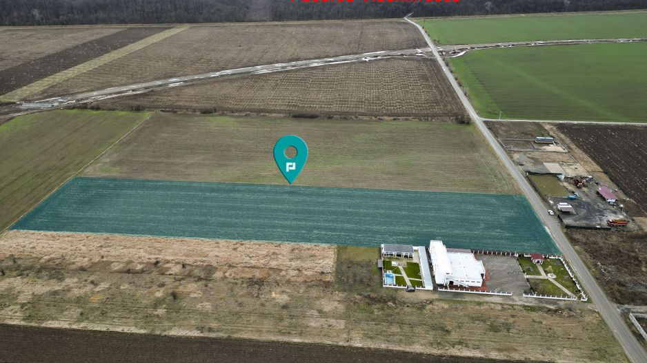 Teren 20.000 mp Vladimirescu - Poză 2