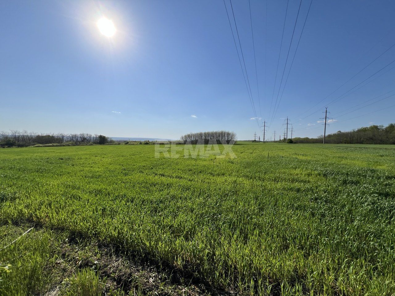 Teren agricol de 24 ari în Ghidighici – aproape de pădure, potrivit pentru investiție sau activitate agricolă - Poză 4