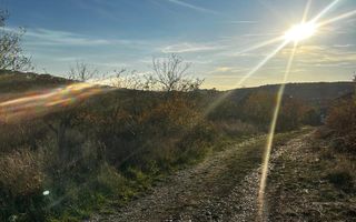 Teren intravilan lacul Hanul Pescarilor - Poză 4