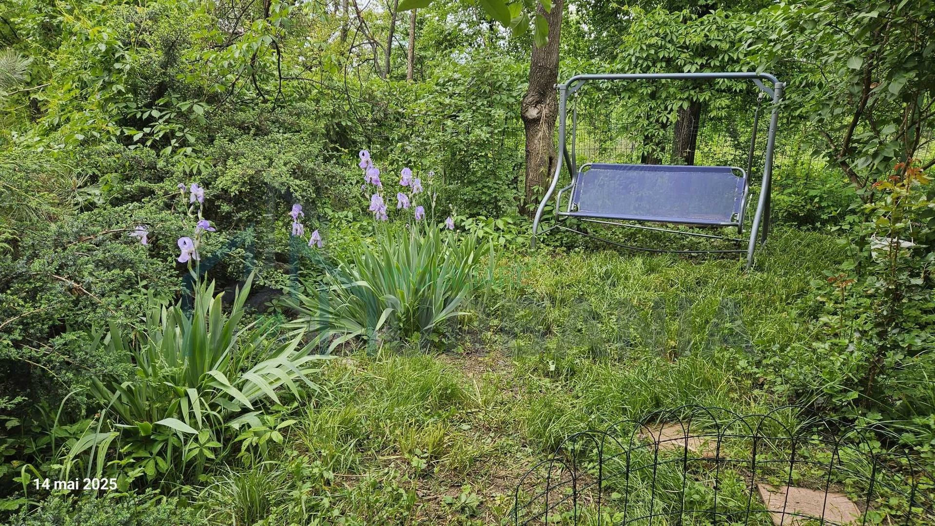 Vila de închiriat în Copou, gard în gard cu Grădina Botanică - Poză 6