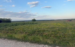 Teren extravilan | Păușa | Bihor - Poză 5