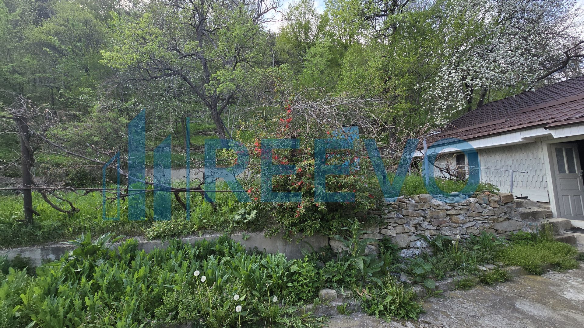 Casă de vânzare, Sat Harja, Oituz - Poză 30