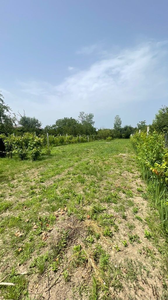 Vând teren intravilan, Str Dealului 64 - 936 mp,front stradal 13.4 m - Poză 1