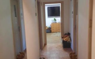 Apartament 2 camere de vanzare Pacii - Poză 7