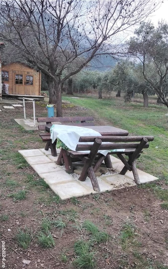 Skala Potamia Thassos-casa piatră+studio+cabană lemn,dependinte, 2500mp teren,700m până la mare.... - Poză 4