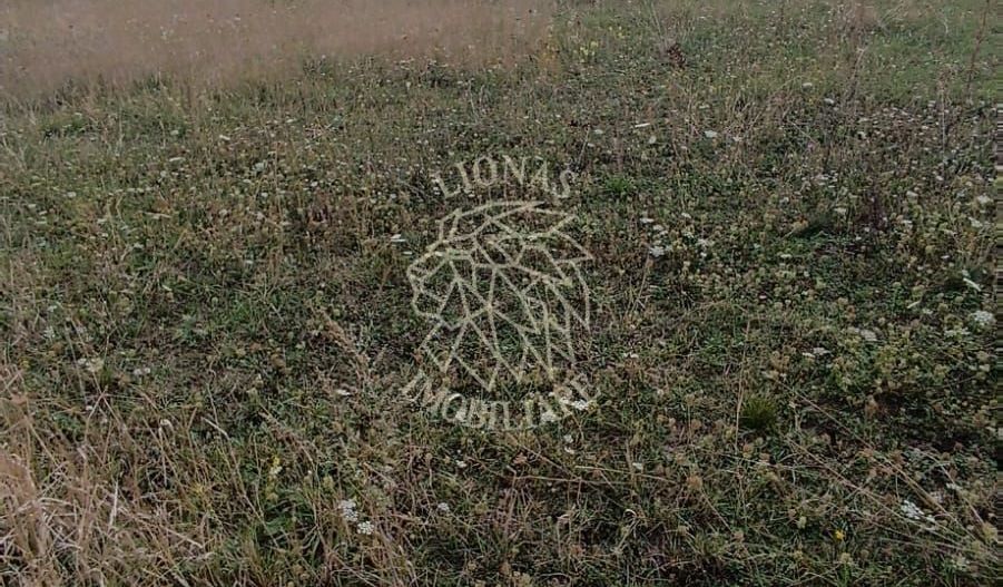 Teren intravilan 9400 mp,  ideal constructii, Dezmir, jud Cluj - Poză 4