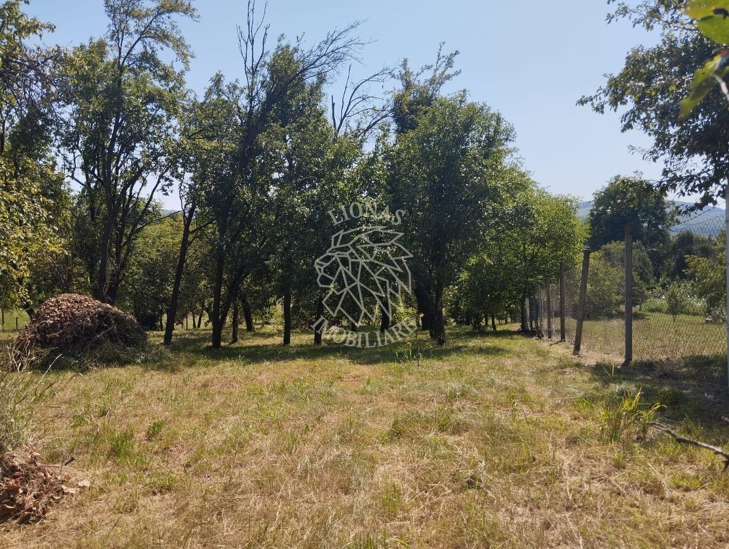 Teren intravilan 2828 mp+autorizatie casa-anexe-livada-Dorolea - Poză 1