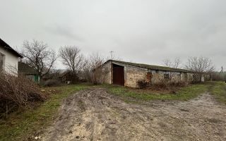 Vânzare, spațiu comercial, satul Zgurița, Drochia - Poză 10