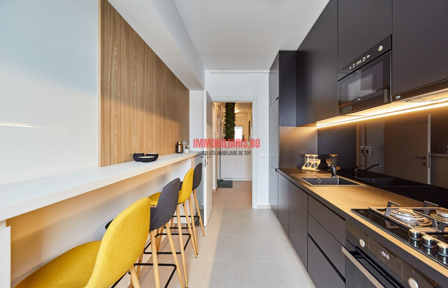 Theodor Pallady - Terasa Generoasa - Dezvoltator - Poză 5