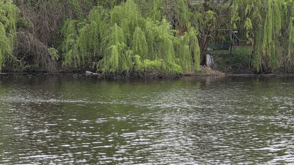 Vila premium - acces lac - investitie sigura - Tunari, Ilfov - Poză 12