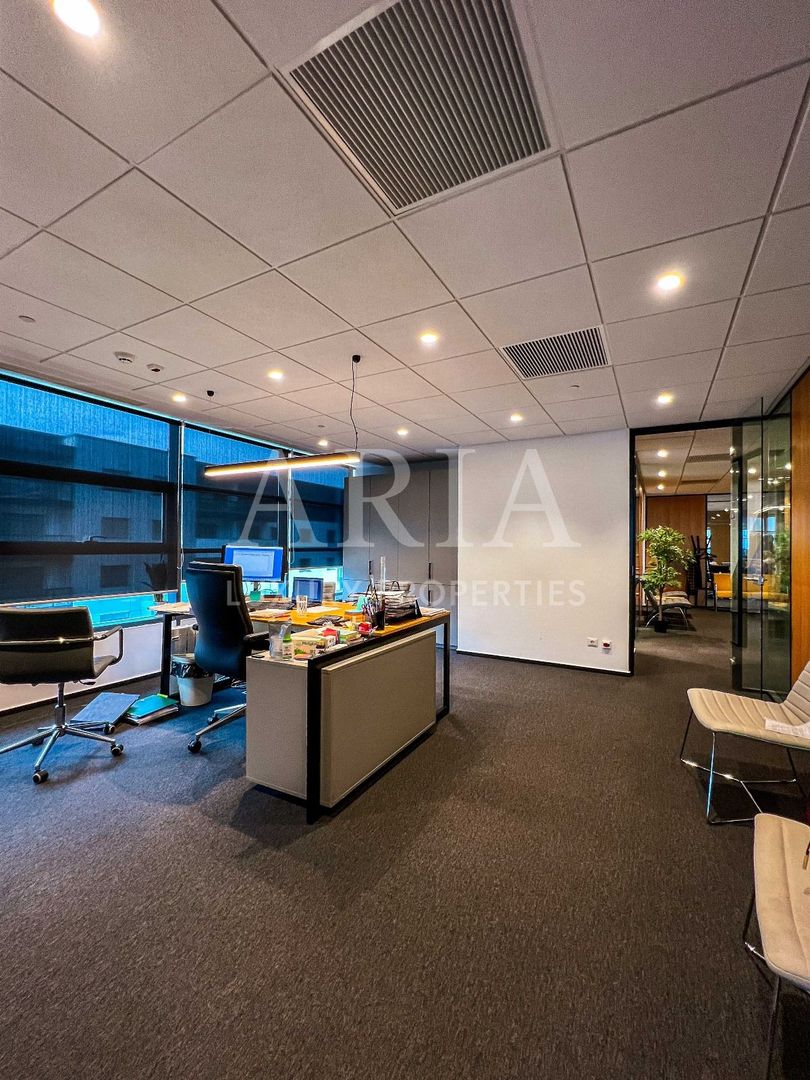 Birouri Premium PIPERA -  Hyperion Towers - Poză 6