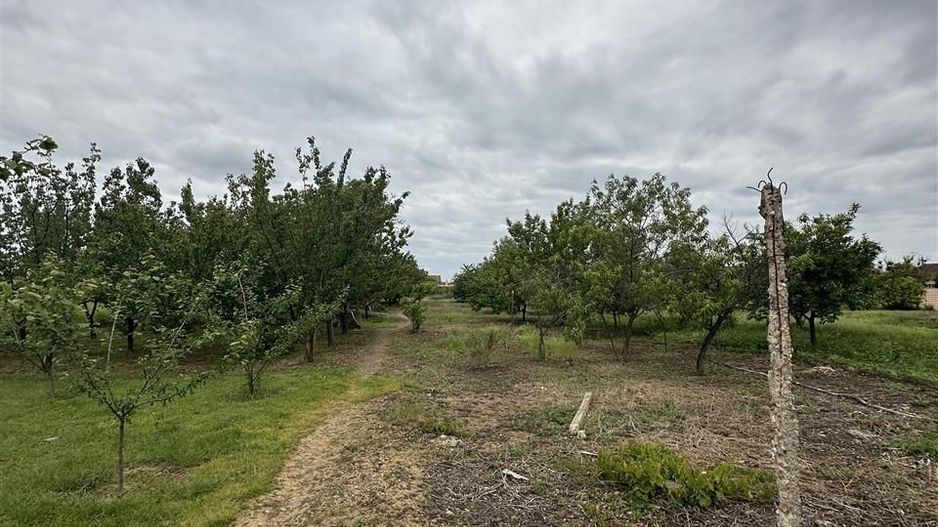 Casa cu teren de 2000mp Episcopia - Poză 2