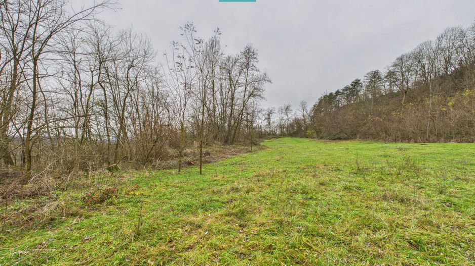 Casă cu teren de 24.679,73 mp, în Hălmagiu, Arad - Poză 33