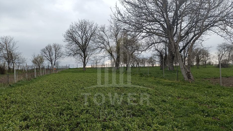 Casă de vânzare în satul Roșia cu vedere panoramică spre Munții Făgăras - Poză 3