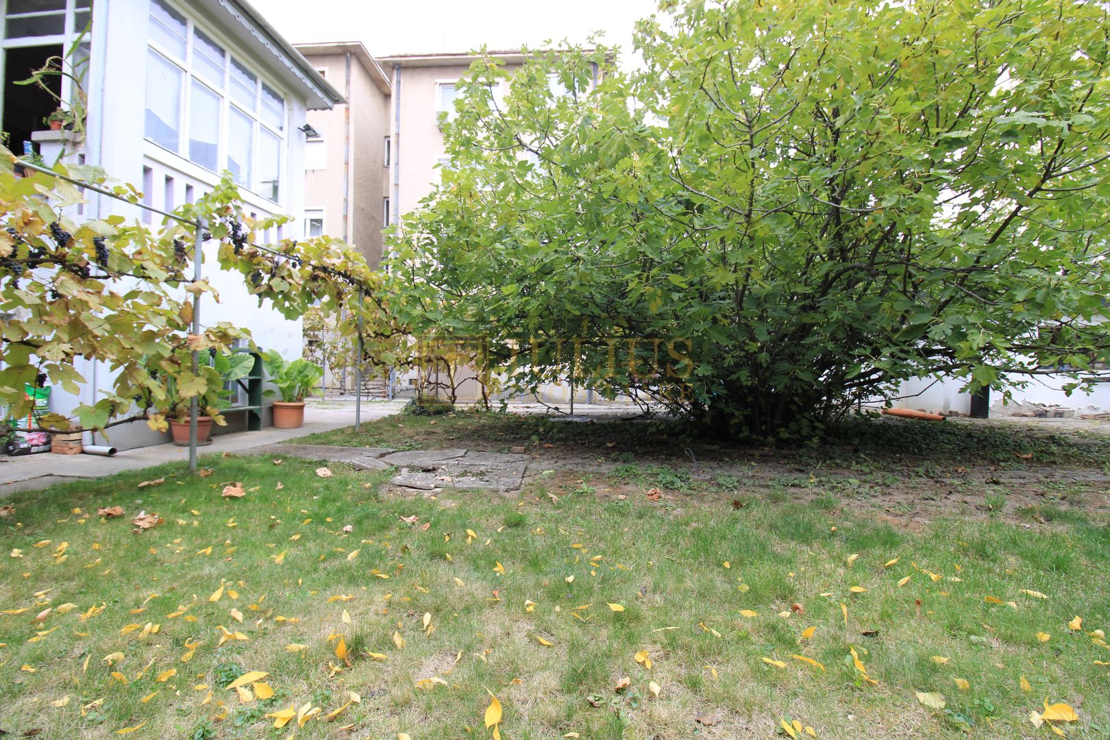 Demisol înalt, zona Universitate UVT - Liceul Ion Vidu. - Poză 2