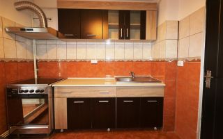 Apartament 2 camere Nicolina prima statie din Podu Ros - Poză 10