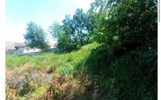 Teren de vânzare în Horpaz, 1400 mp, toate utilitățile, la 500 m de Șos. Nicolina Profi - Poză 9