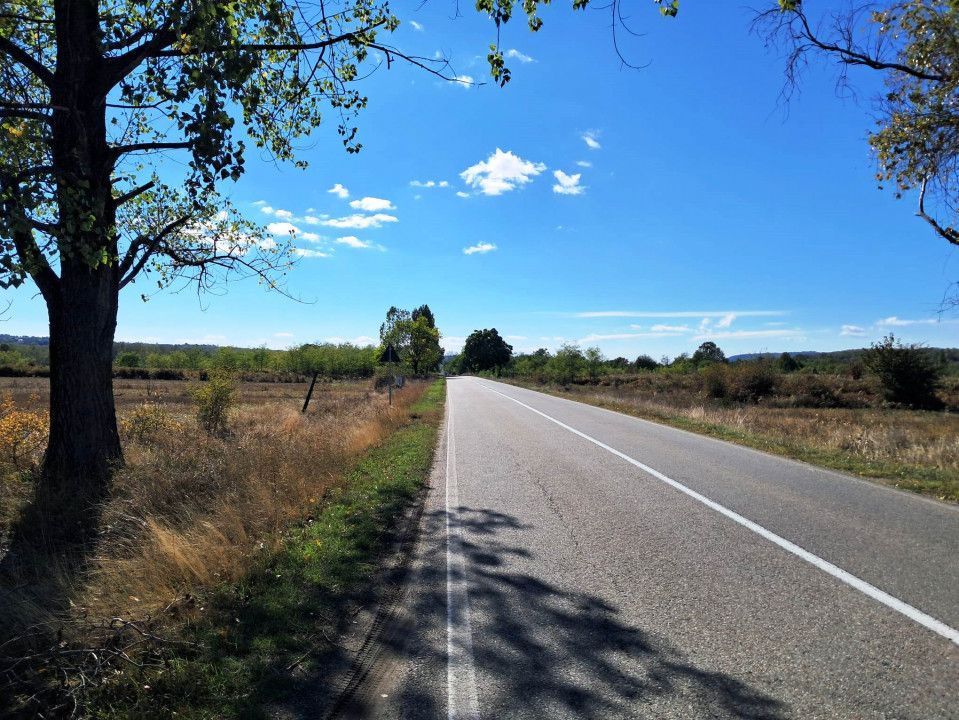 TEREN INTRAVILAN ȘI EXTRAVILAN BAIA DE FIER - Poză 8