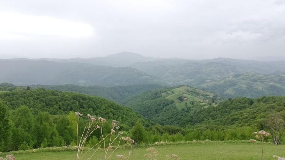 Proprietar vand teren extravilan 2ha, PANORAMA SUPER, Poiana Marului - Poză 5