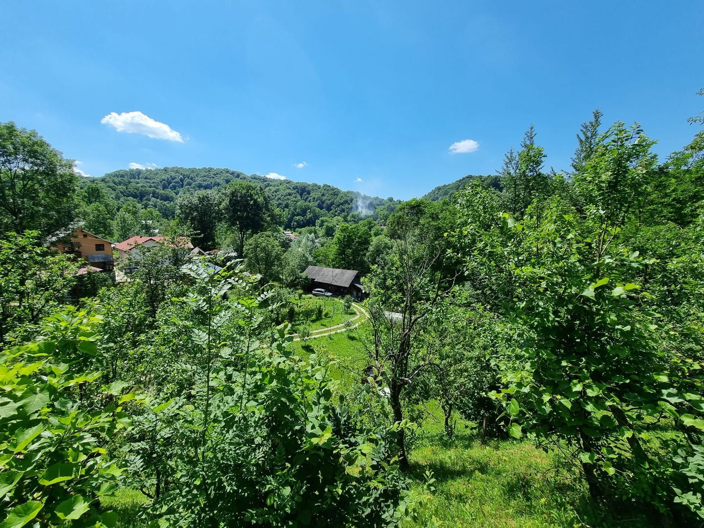 Casa de la marginea padurii! - Poză 3