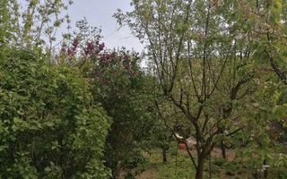 Ag EUROPA vinde casa 6 cam teren 11 ari în zona 14 Mai. - Poză 2