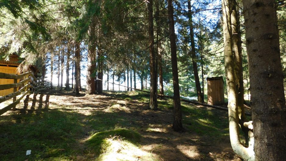 Casă de vacanta de vanzare, in Marisel, langa Cabana Motilor - Poză 18