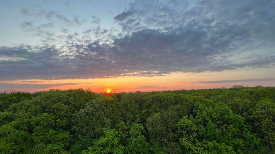 2 camere | Greenfield | Baneasa | Pipera | parcare inclusa - Poză 19