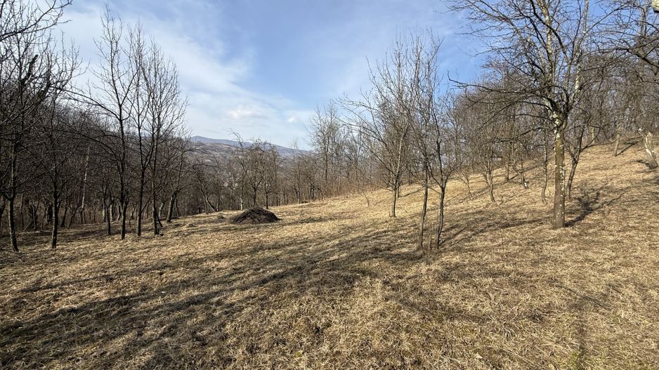 Teren intravilan 2788 mp deschidere 55 ml cu vedere panoramica ! - Poză 7