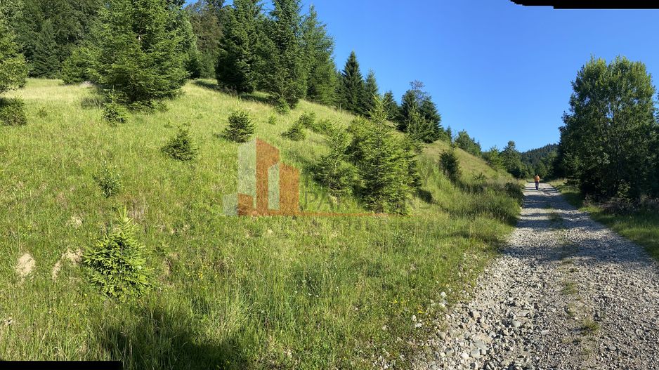 Teren 14400 mp la iesire din Rasnov inspre Pârâul Rece-Trei Brazi - Poză 1