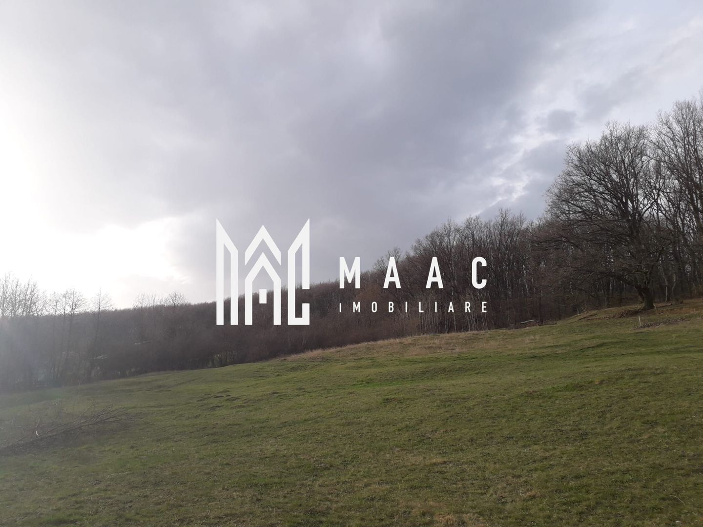 Teren Extravilan 4.572mp | Zonă liniștită | Sadu - Poză 10