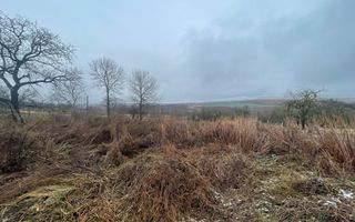 Casa Demolabila | Rediu | Teren 3278 mp | Posibiliate parcelare - Poză 4