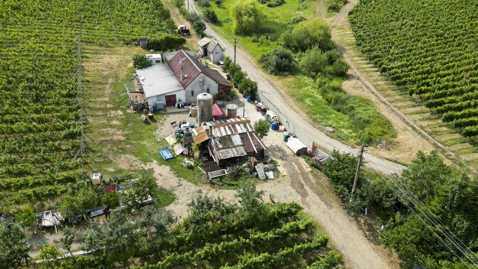 Vie Tradițională „Halta Lupilor” - Poză 48