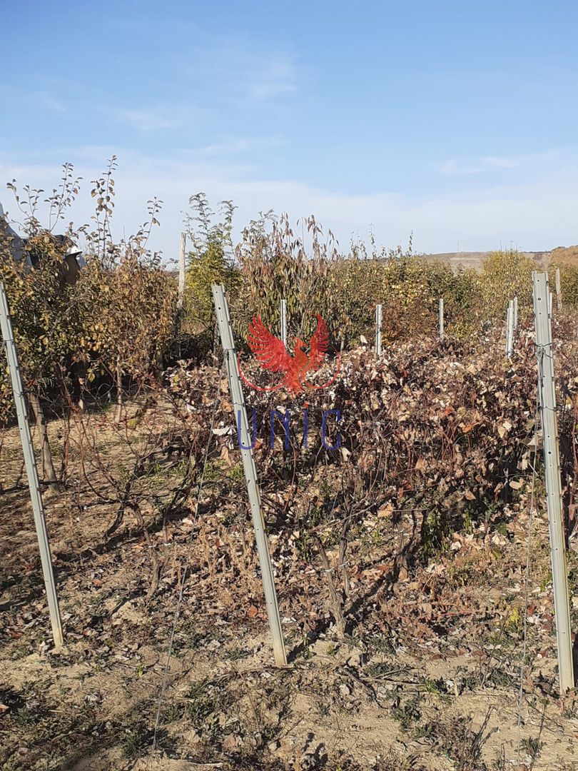 Casa Bradesti, teren 1239 mp - 29 995 Euro - Poză 4