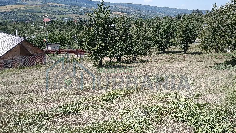 Teren intravilan de vânzare în Chicerea-Tomești, două parcele, utilități la limită - Poză 1