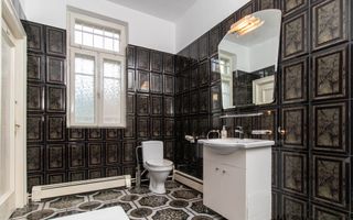 Inchiriere - Rezidenta/Birouri - Vila cu curte - Aviatorilor - Poză 22