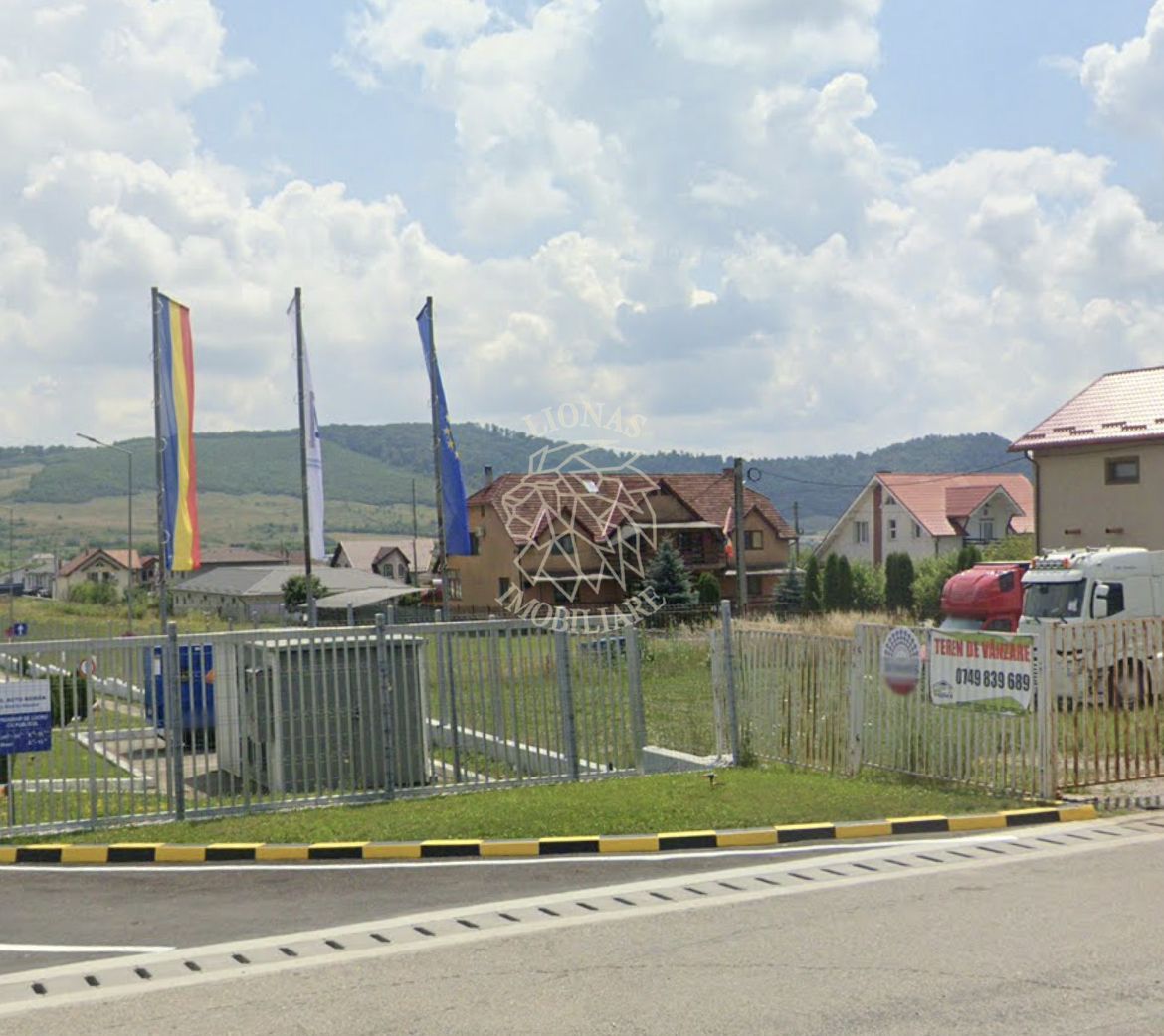 Teren intravilan 1,5 ha-pretabil case/hale-Viisoara EXCLUSIV - Poză 2