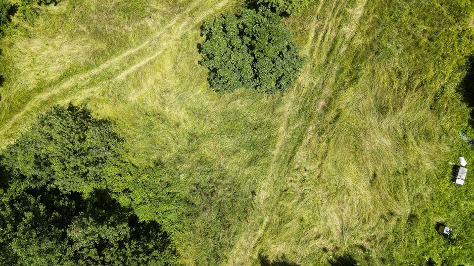 Teren pe deal la Sebiș - Poză 3