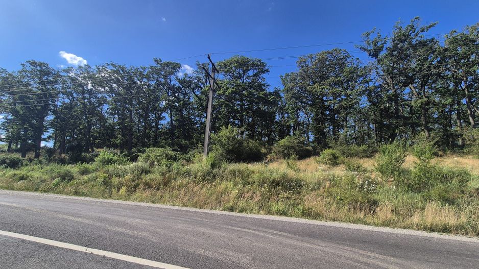 Casă cu grădină în Dumbrăvița – la doar 25 km de Brașov - Poză 21