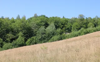 Terenuri Carpinis I parcelabil I Curent pe proprietati - Poză 41
