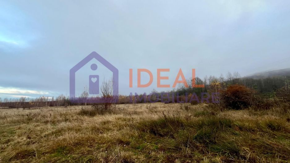 Teren extravilan 6.500 mp – două căi de acces, Cârțișoara - Poză 3