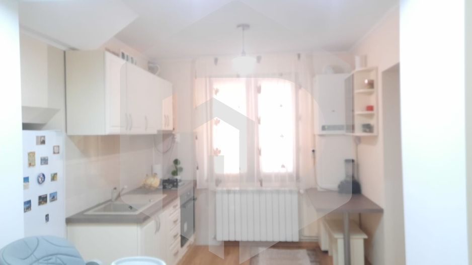 Apartament 2 camere in zona 9 Mai/ Renovat complet+ Pivnita+ curte - Poză 13
